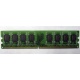 Модуль оперативной памяти 4096Mb DDR2 Patriot PSD24G8002 pc-6400 (800MHz)  (Тамбов)