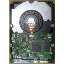 HDD Sun 500G 500Gb в Тамбове, FRU 540-7889-01 в Тамбове, BASE 390-0383-04 в Тамбове, AssyID 0069FMT-1010 в Тамбове, HUA7250SBSUN500G (Тамбов)