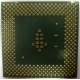 Процессор Intel Celeron 1000A SL5ZF (1000MHz /256kb /100MHz /1.475 V) s370 (Тамбов)