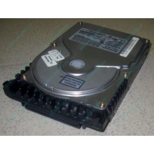 Жесткий диск 18.4Gb Quantum Atlas 10K III U160 SCSI (Тамбов)