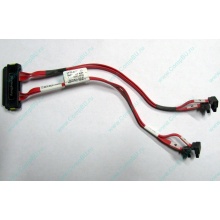SATA-кабель для корзины HDD HP 451782-001 459190-001 для HP ML310 G5 (Тамбов)