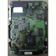 Жесткий диск 18.4Gb Quantum Atlas 10K III U160 SCSI (Тамбов)