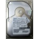 Жесткий диск 18.2Gb IBM Ultrastar DDYS-T18350 Ultra3 SCSI (Тамбов)