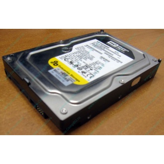 Жесткий диск 160Gb WD WD1602ABKS SATA (Тамбов)