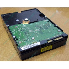 Б/У жёсткий диск 400Gb WD WD4000YR Caviar RE2 7200 rpm SATA  (Тамбов)