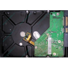 Б/У жёсткий диск 500Gb Western Digital WD5000AVVS (WD AV-GP 500 GB) 5400 rpm SATA (Тамбов)