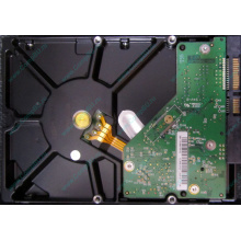 Б/У жёсткий диск 1Tb Western Digital WD10EVVS Green (WD AV-GP 1000 GB) 5400 rpm SATA (Тамбов)
