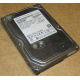 HDD 500Gb Hitachi HDS721050DLE630 донор на запчасти (Тамбов)