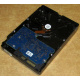 Электроника HDD 500Gb Hitachi HDS721050DLE630 (Тамбов)