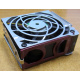 HP 224977 (224978-001) for Proliant ML370 G2/G3/G4 (Тамбов).