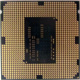 Процессор Intel Pentium G3220 (2x3.0GHz /L3 3072kb) SR1СG s1150 (Тамбов)