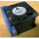 Вентилятор TFB0612GHE для корпусов Intel SR2300 / SR2400 (Тамбов)