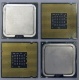 Процессоры Intel Pentium-4 506 (2.66GHz /1Mb /533MHz) SL8J8 s.775 (Тамбов)