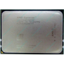 AMD Opteron 6128 OS6128WKT8EGO (Тамбов)
