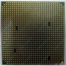Процессор AMD Athlon 64300+ (1.8GHz) ADA3000IAA4CN s.AM2 (Тамбов)